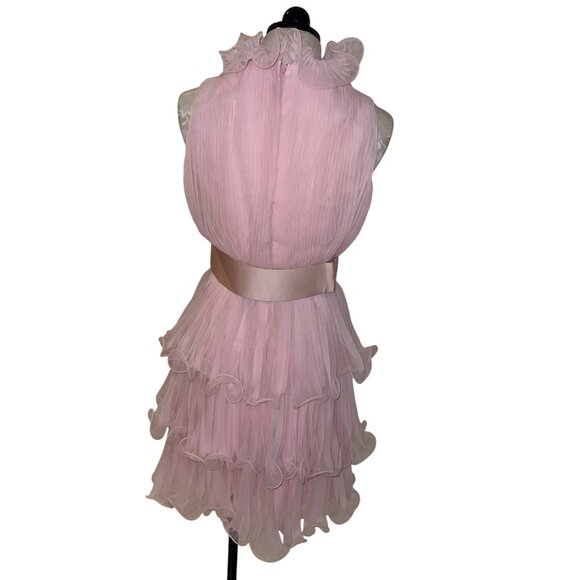 Miss Elliette California Vintage Womens Dress Size Small Pink Chiffon Tiered - Picture 3 of 16